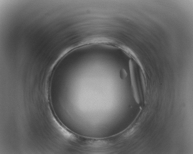 X0000083040851200702091407