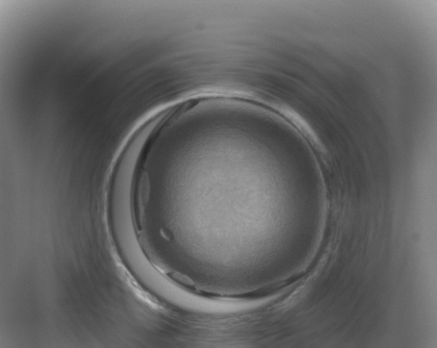 X0000083040854200702091407