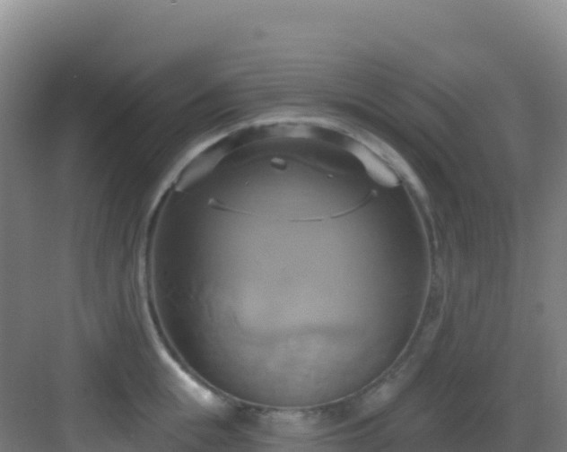 X0000083040855200702091407