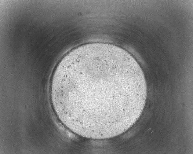 X0000083040856200702091407