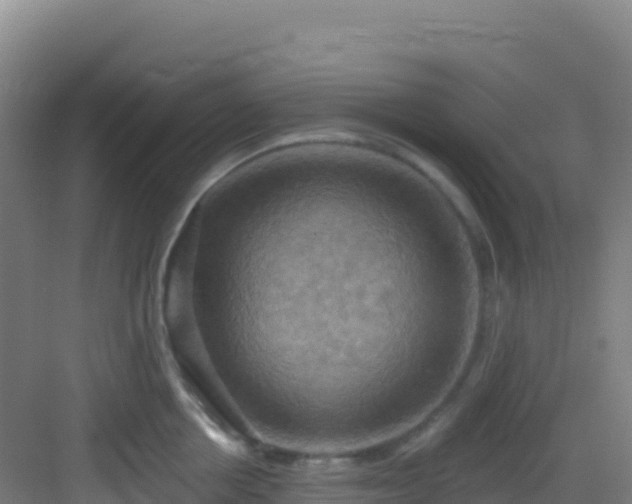 X0000083040858200702091407