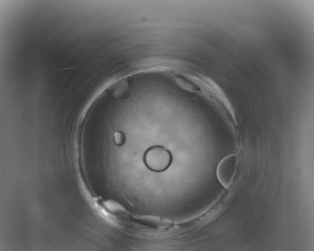 X0000083040859200702091407