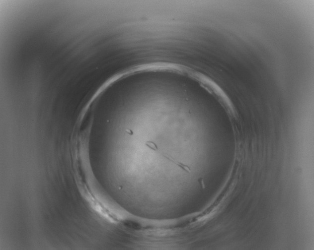 X0000083040860200702091407