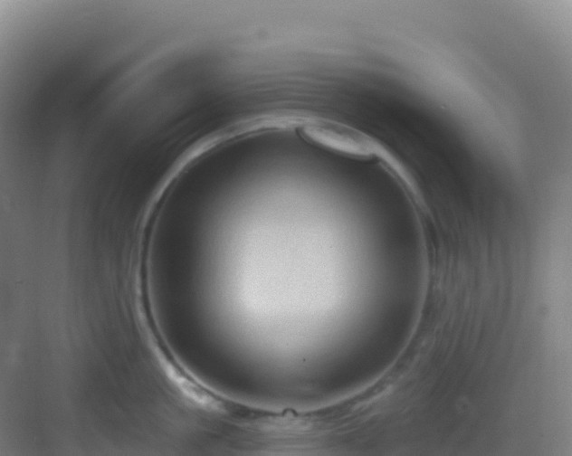 X0000083040861200702091407