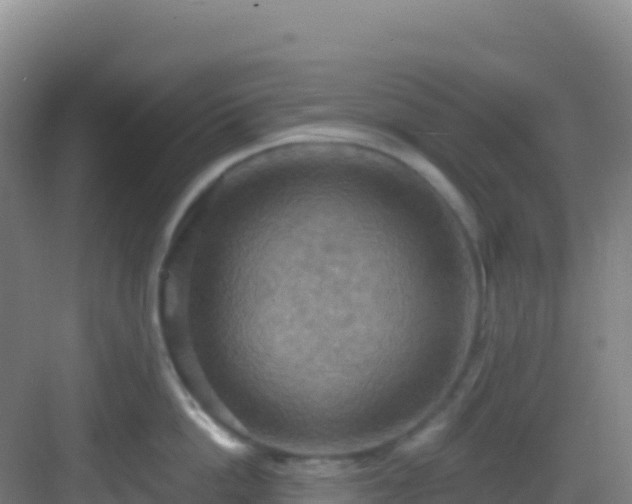 X0000083040862200702091407