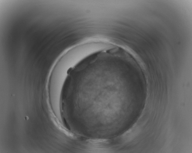 X0000083040864200702091407