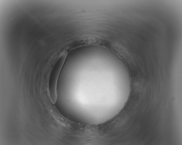 X0000083040865200702091406