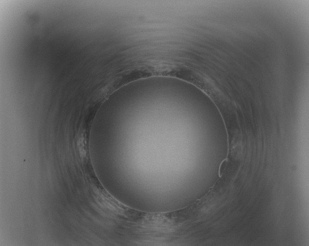 X0000083040866200702091406