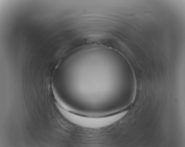 X0000083040868200702091406