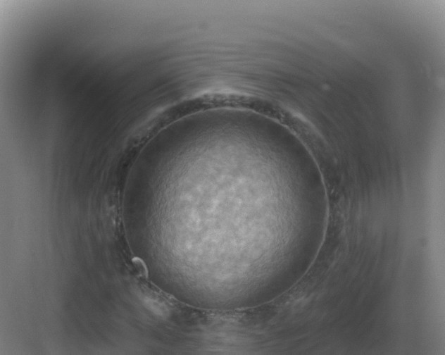 X0000083040870200702091406