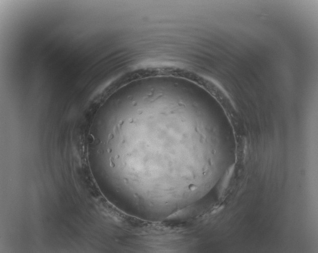 X0000083040871200702091406