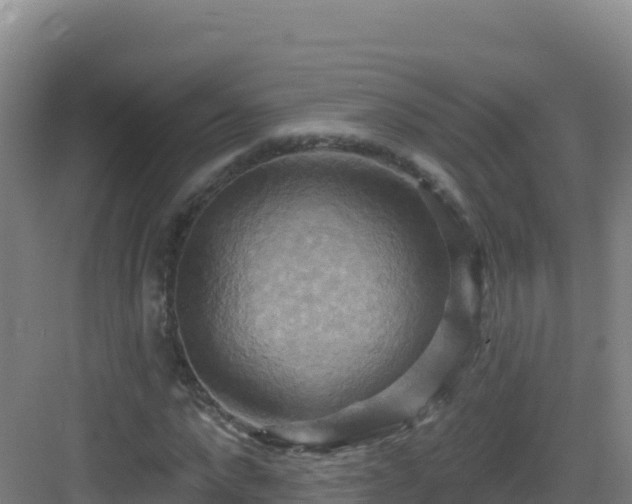 X0000083040872200702091406