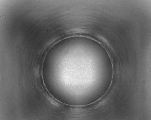 X0000083040873200702091406