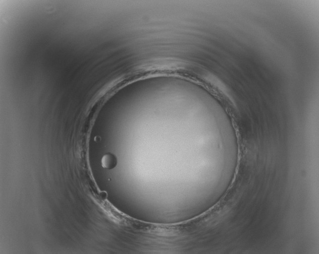 X0000083040874200702091406