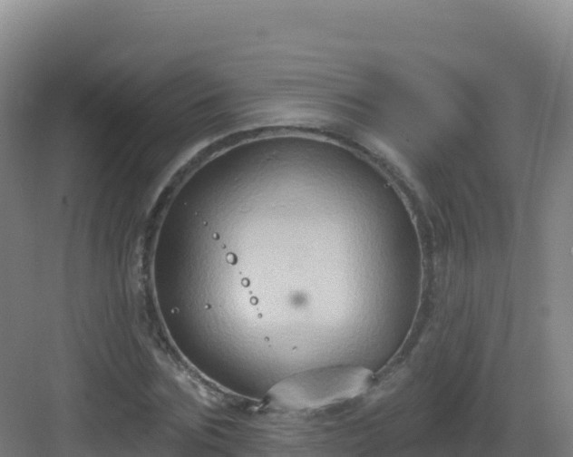 X0000083040875200702091406