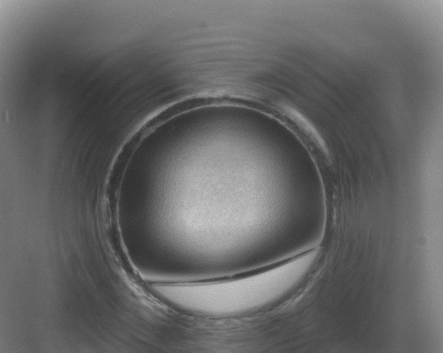 X0000083040876200702091406