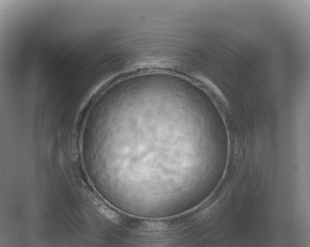 X0000083040878200702091406