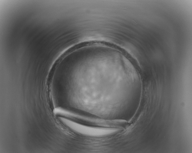 X0000083040879200702091406