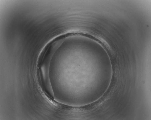 X0000083040880200702091406