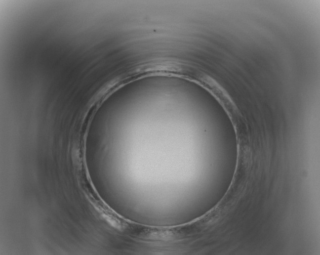 X0000083040882200702091406