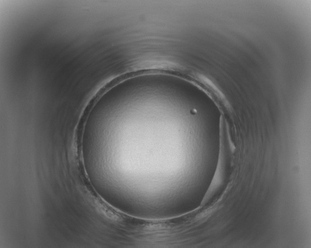 X0000083040883200702091406