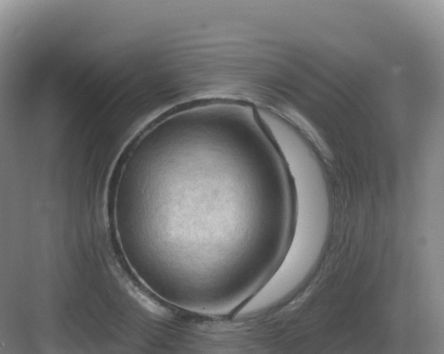 X0000083040884200702091406