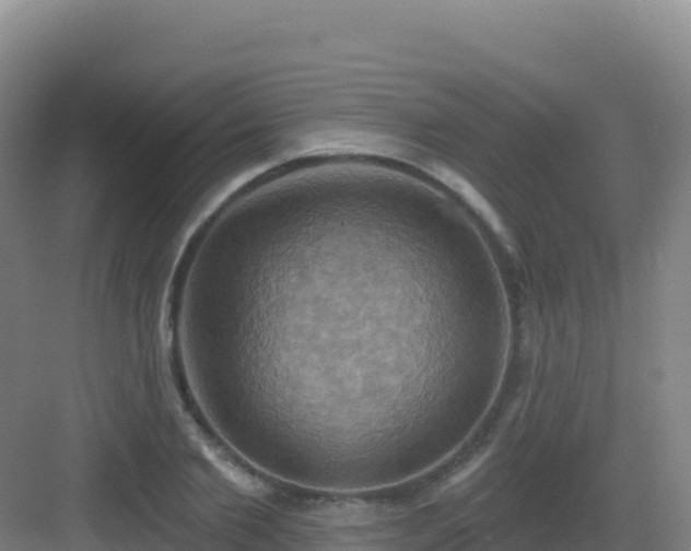 X0000083040885200702091406