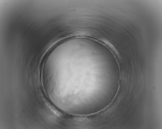 X0000083040886200702091406