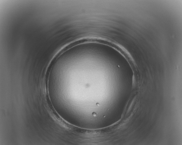 X0000083040887200702091406