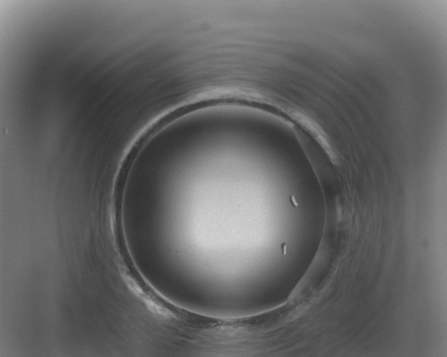 X0000083040888200702091406