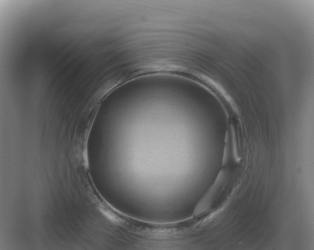 X0000083040889200702091406