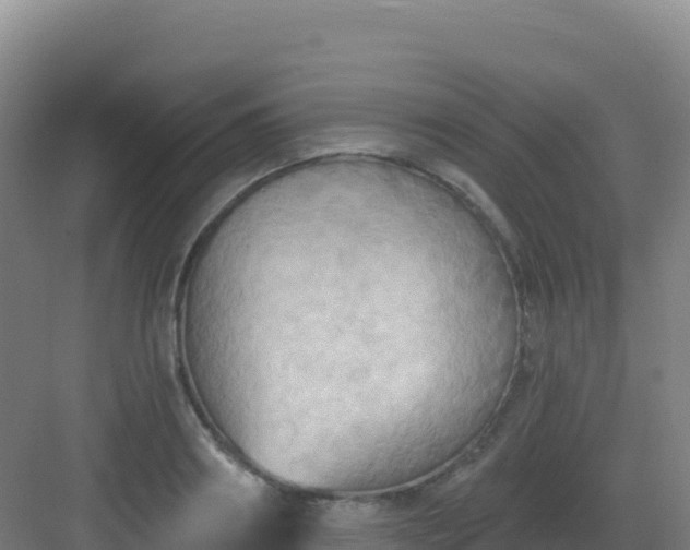 X0000083040890200702091406