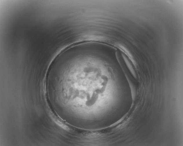 X0000083040891200702091406