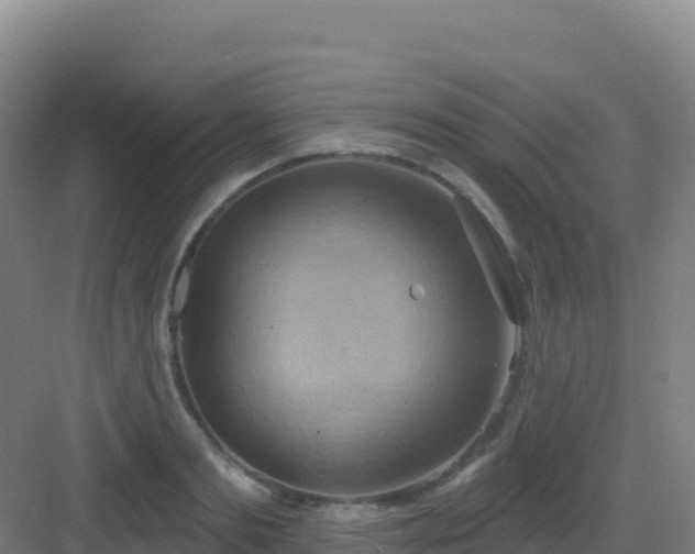 X0000083040893200702091406