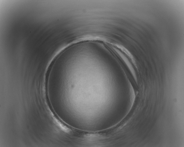 X0000083040894200702091406