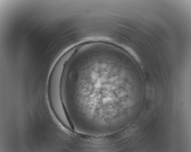 X0000083040895200702091406