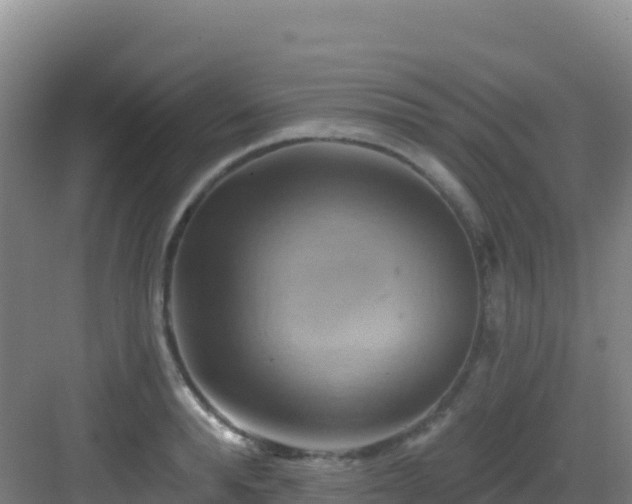 X0000083040896200702091406