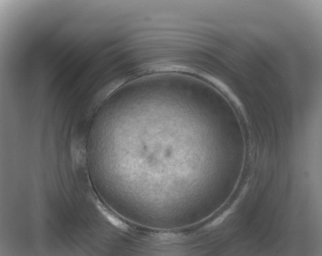 X0000083040897200702091406