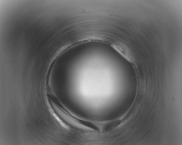 X0000083040898200702091406