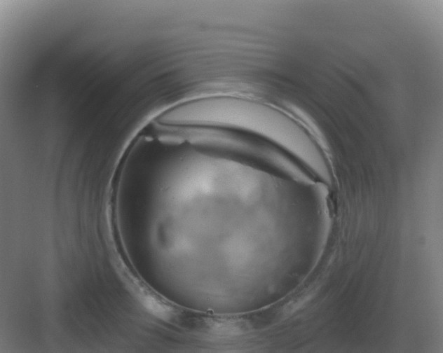 X0000083040899200702091406