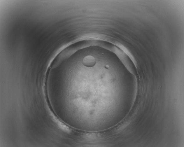 X0000083040901200702091406