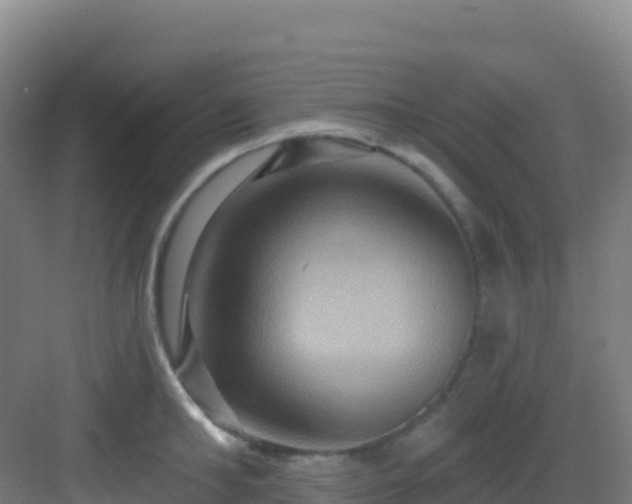 X0000083040902200702091406