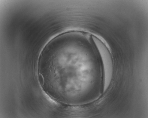 X0000083040903200702091406