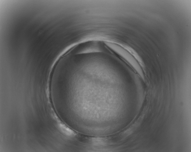 X0000083040904200702091406