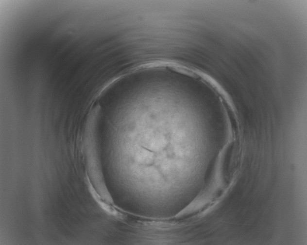 X0000083040905200702091406