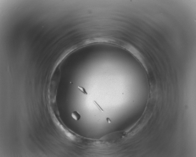 X0000083040906200702091406