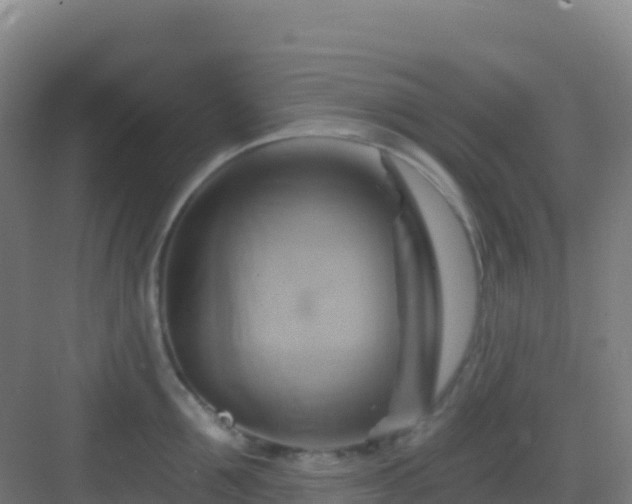 X0000083040907200702091406