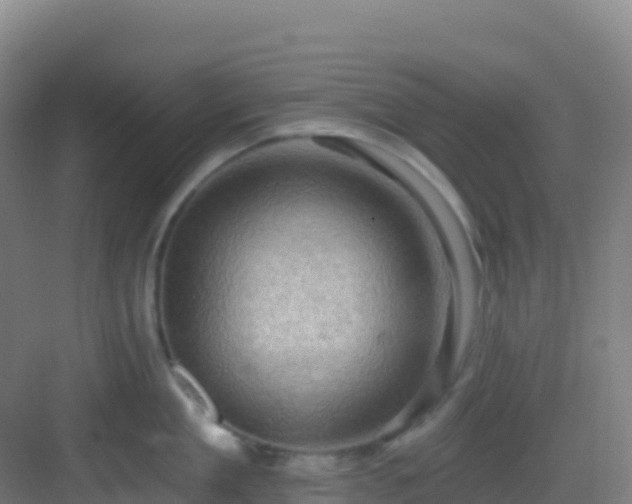 X0000083040909200702091406