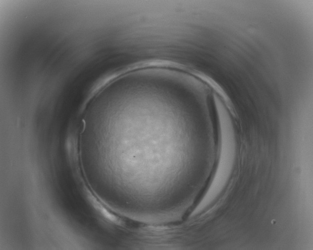 X0000083040910200702091406