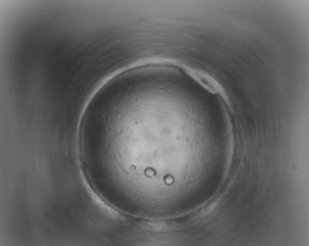 X0000083040911200702091406